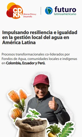 Vista móvil landing FFLA fundación liderazgo Argentina