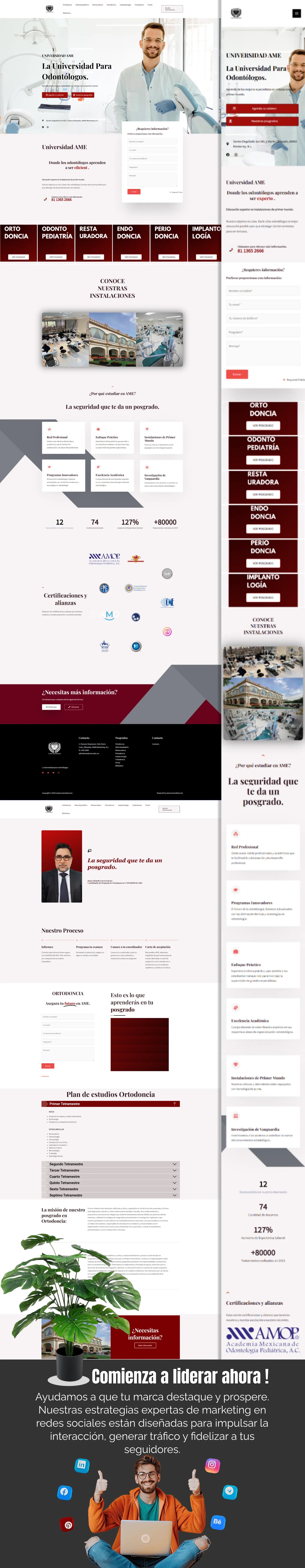 Proceso SEO aplicado en AME.mx: auditoria SEO inicial