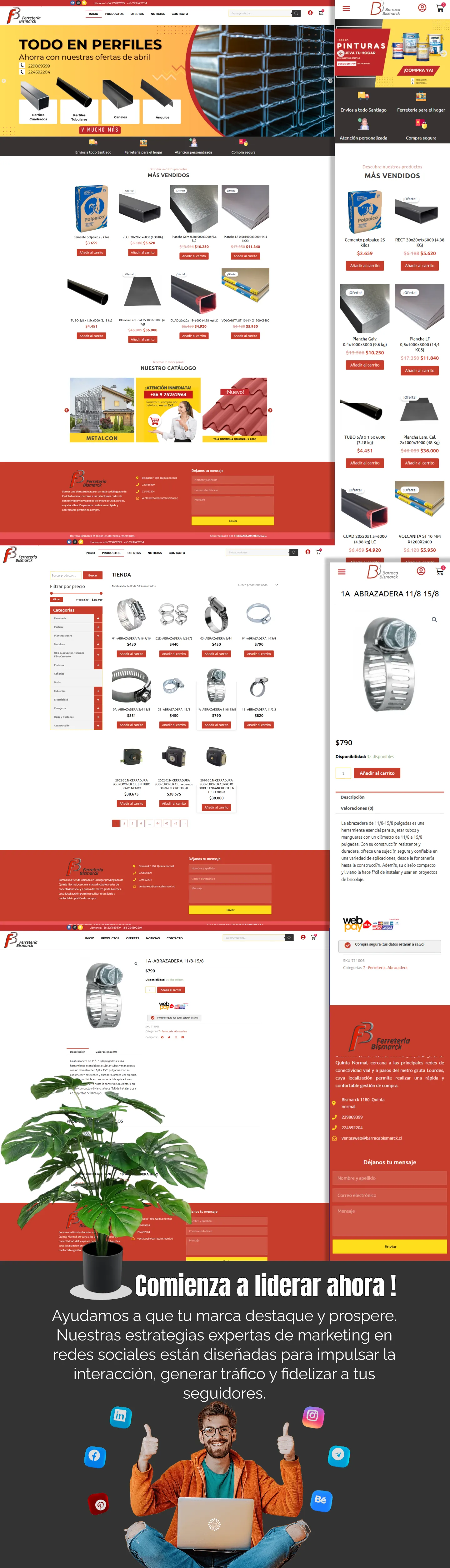 Proceso SEO aplicado en B. Bismarck: auditoria SEO inicial