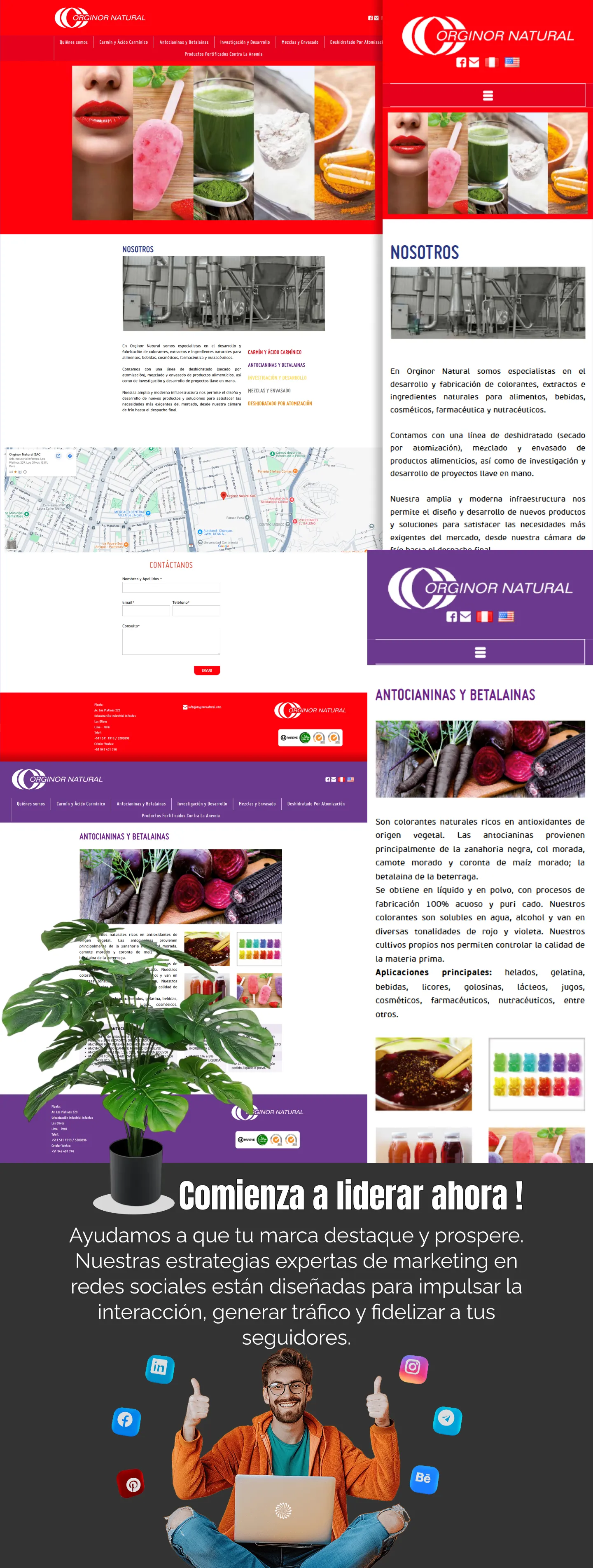 Diseño web desktop tienda Orginor Natural productos orgánicos